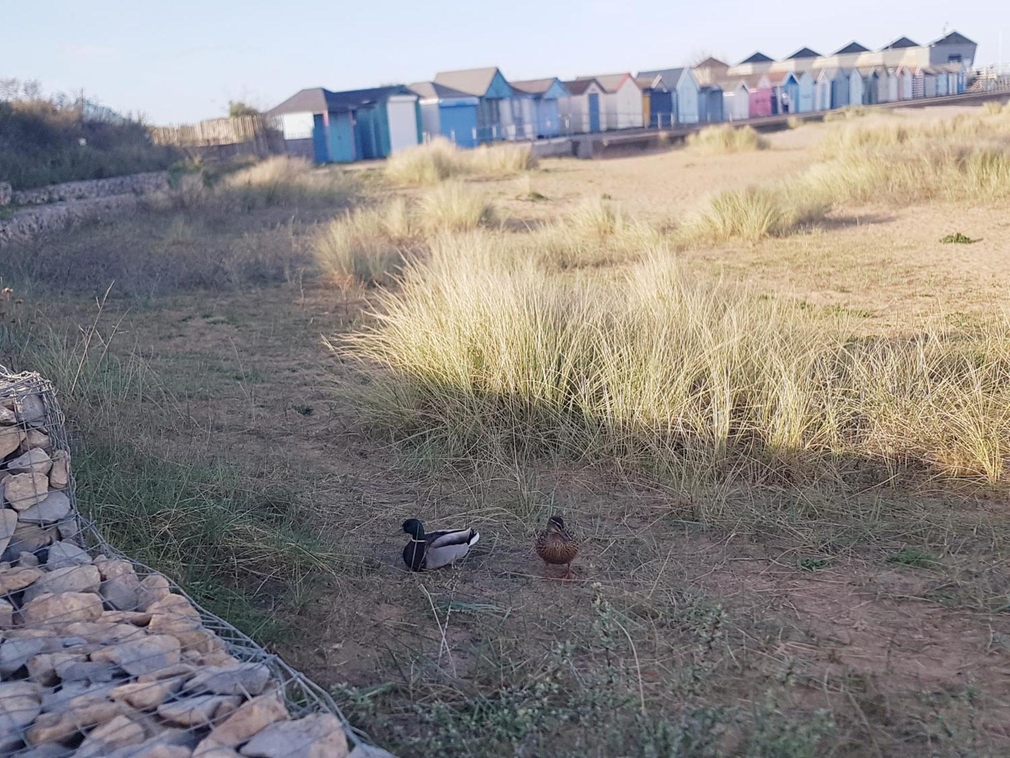 Сasa de vacaciones Detached Yards From The *