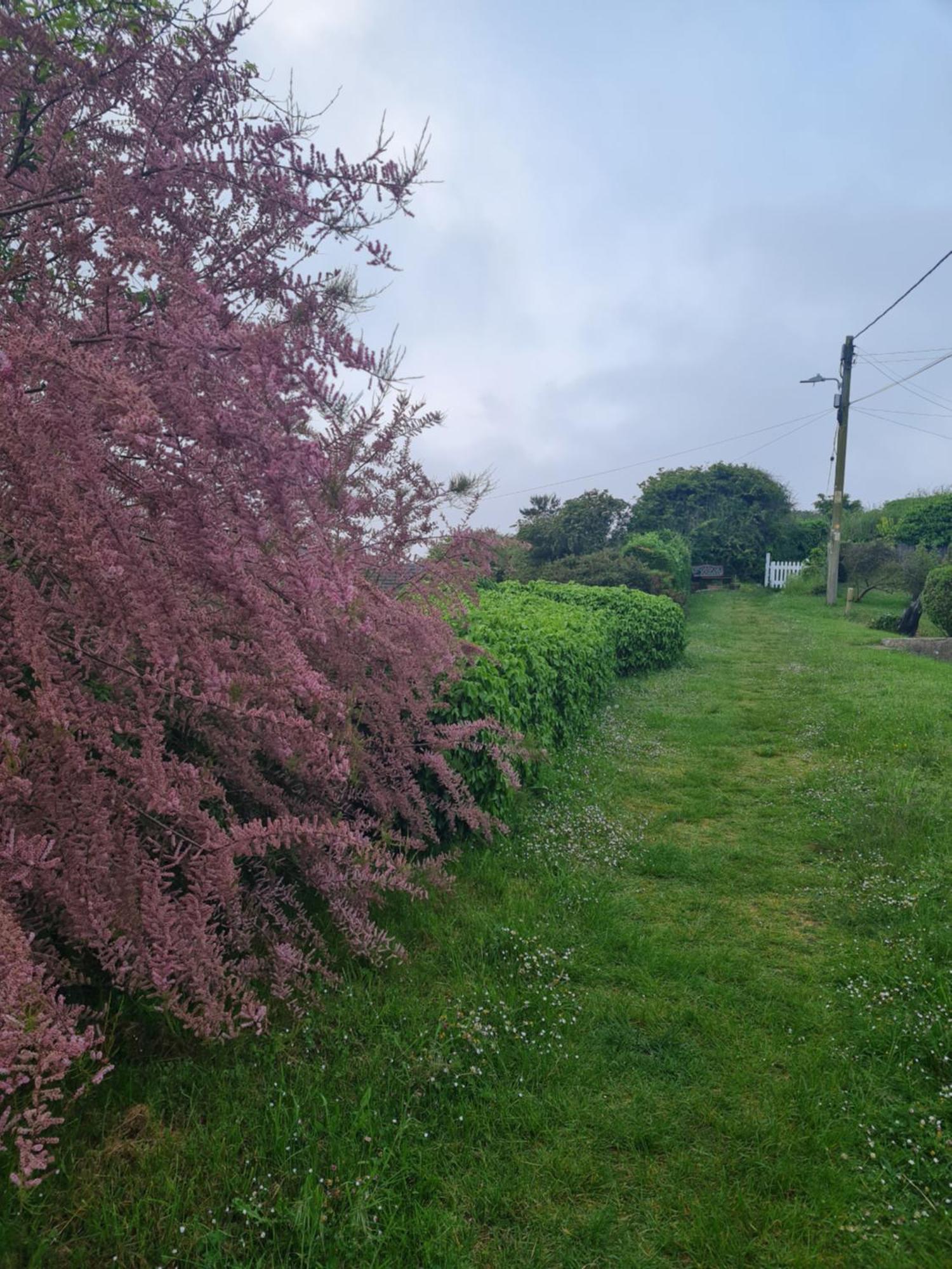Detached Yards From The * Chapel St. Leonards